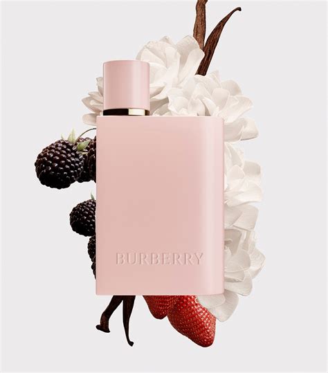 burberry her eau de parfum dupe|Burberry Her elixir dupe.